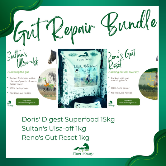 Gut Repair Bundle