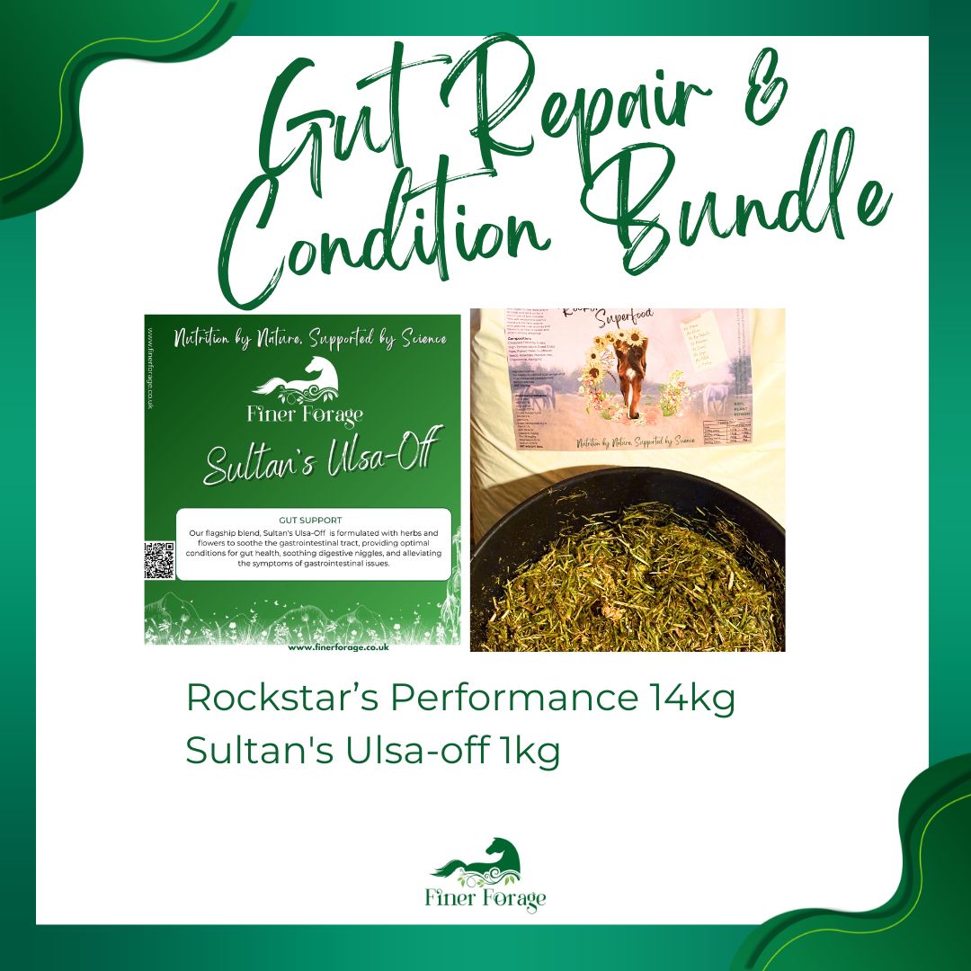 Gut Repair and Condition