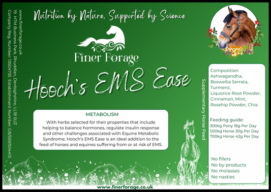 Hooch's EMS Ease