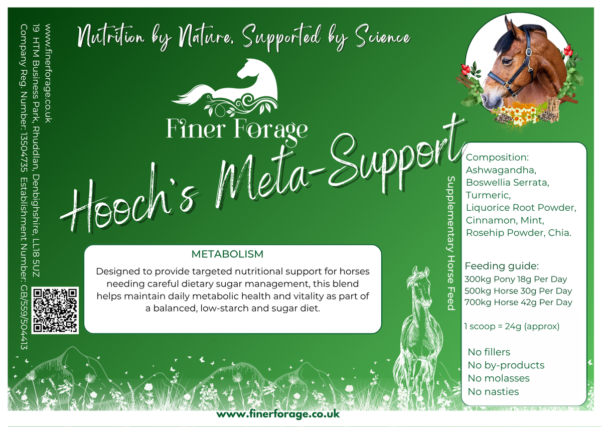 Hooch’s Meta-Support