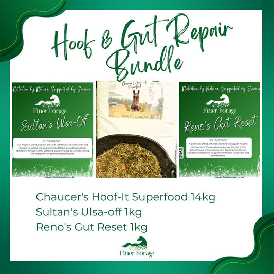 Hoof & Gut Repair Bundle