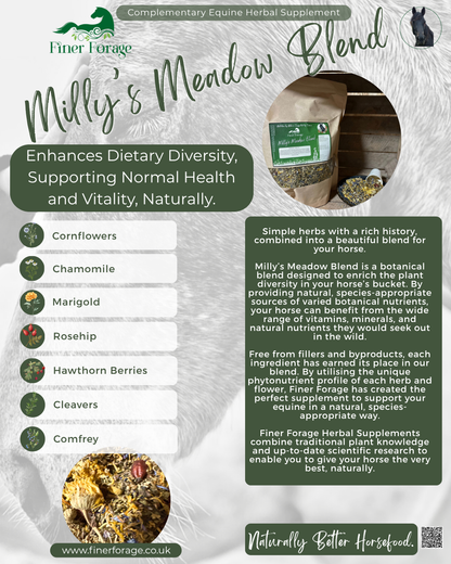 Milly's Meadow Herbal Blend