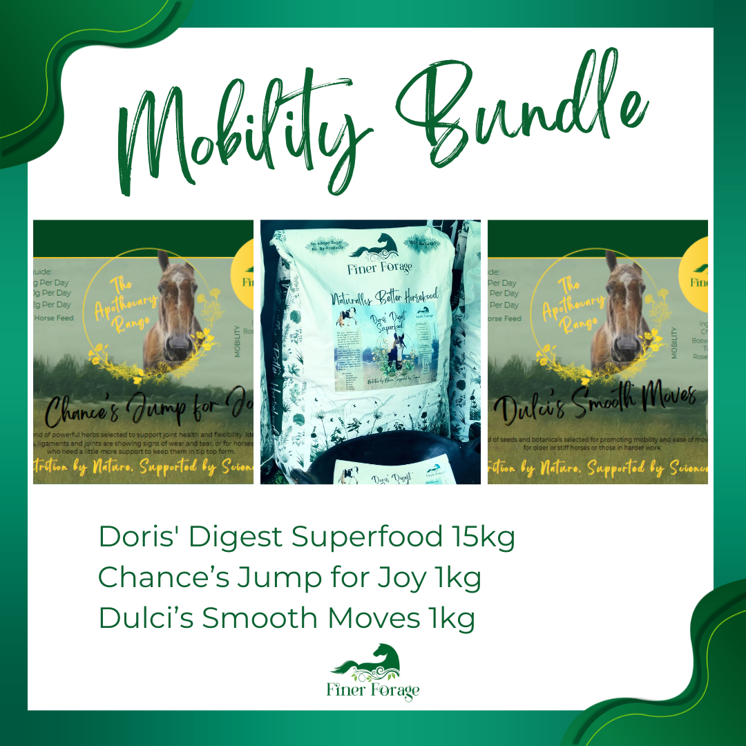 Mobility Bundle