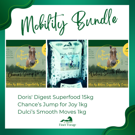 Mobility Bundle