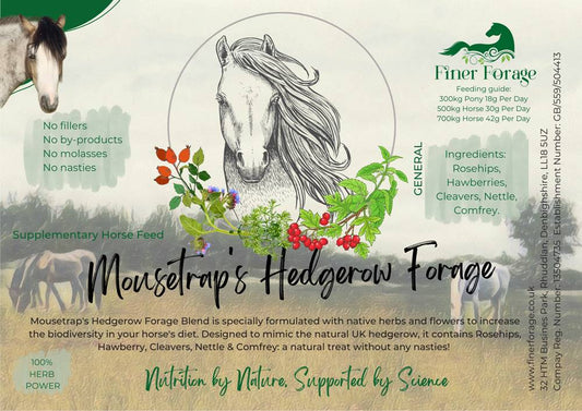 Mousetrap's Hedgerow Herbal Blend