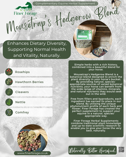 Mousetrap's Hedgerow Herbal Blend