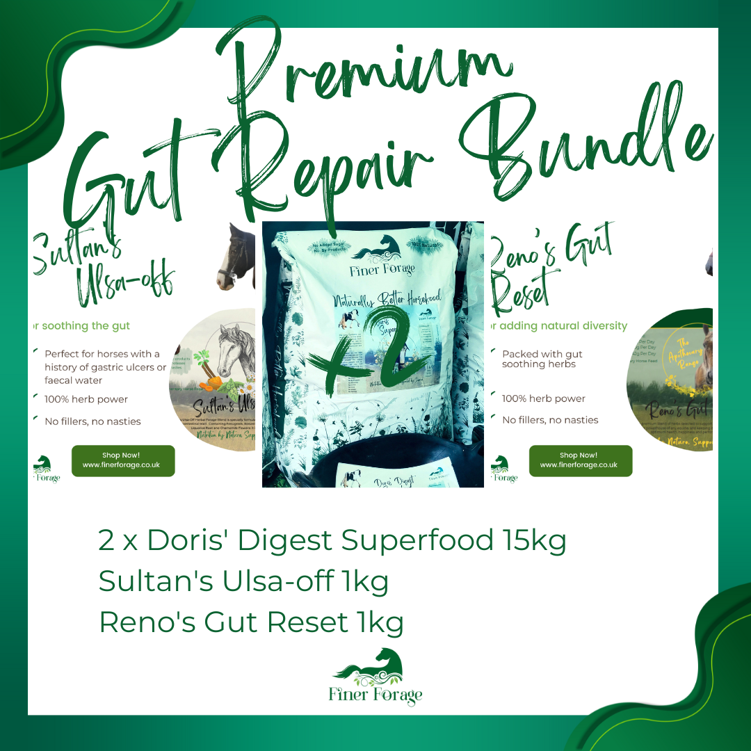 Premium Gut Repair Bundle