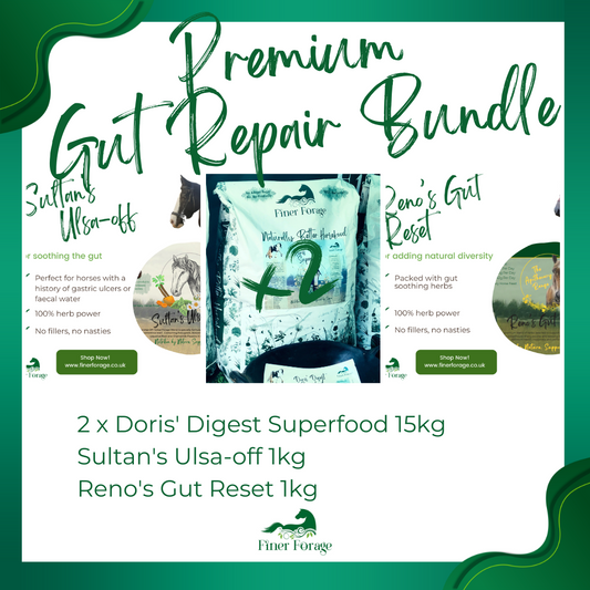Premium Gut Repair Bundle