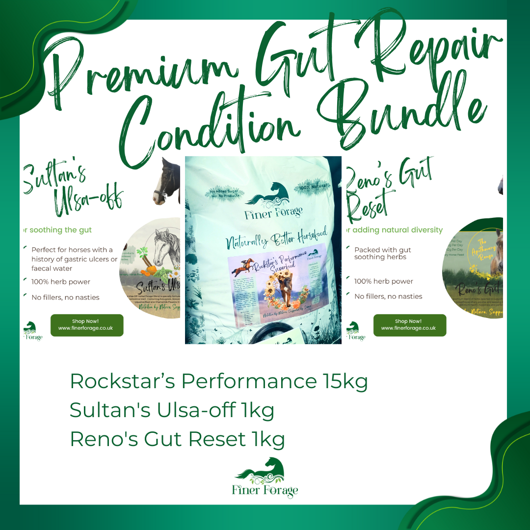 Premium Gut Repair & Condition