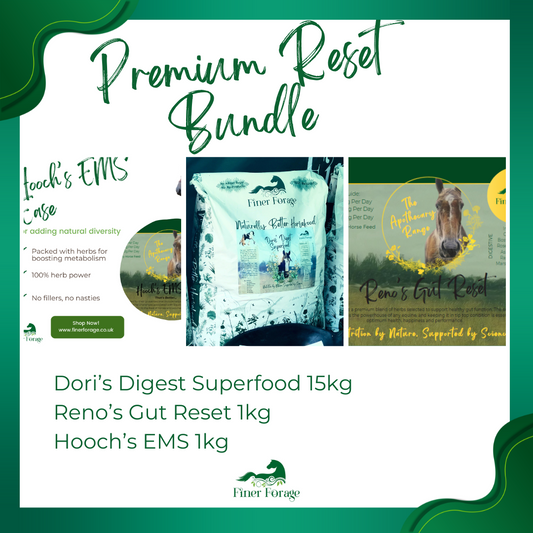 Premium Reset Bundle