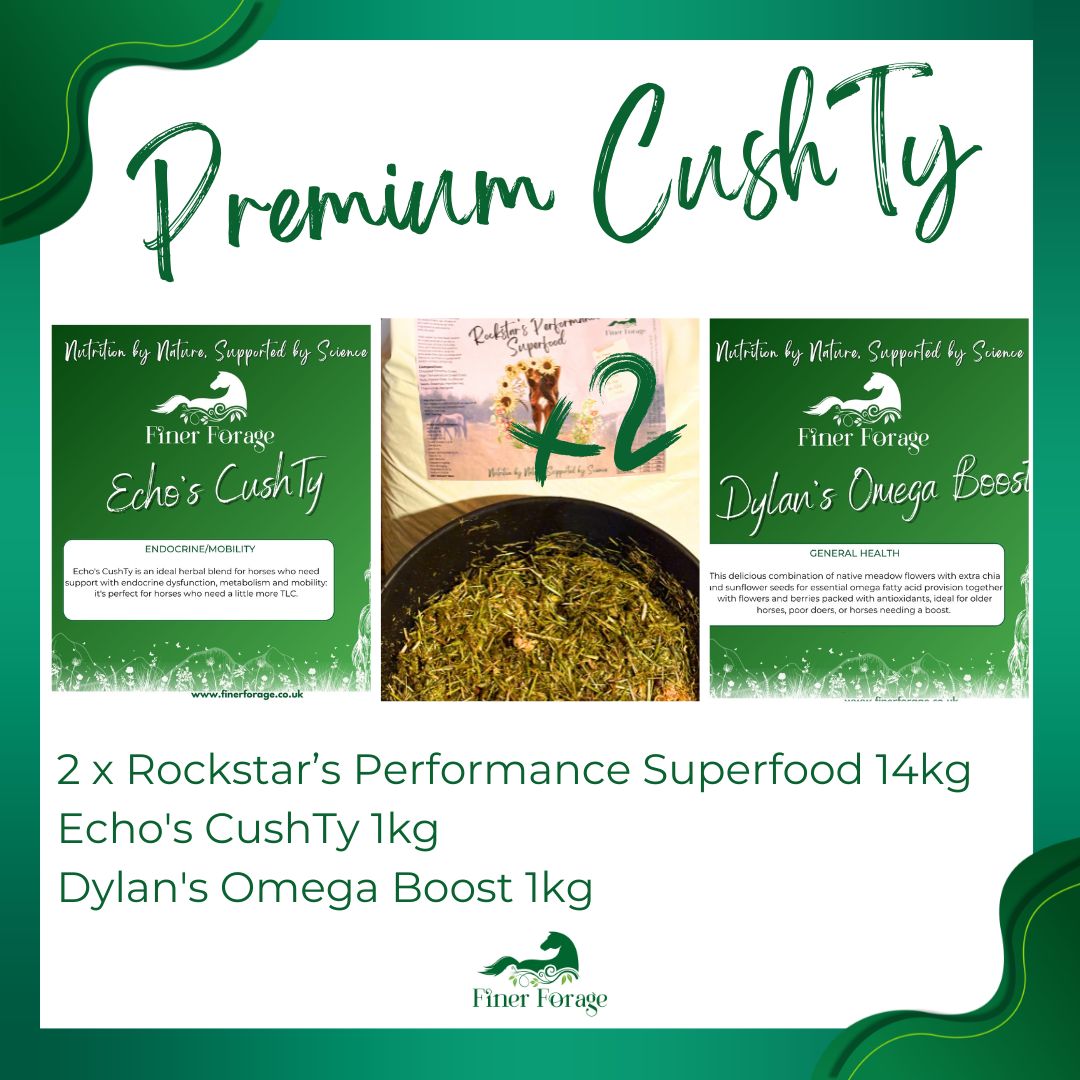 Premium CushTy Bundle