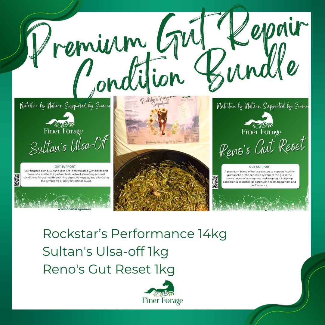 Premium Gut Repair & Condition