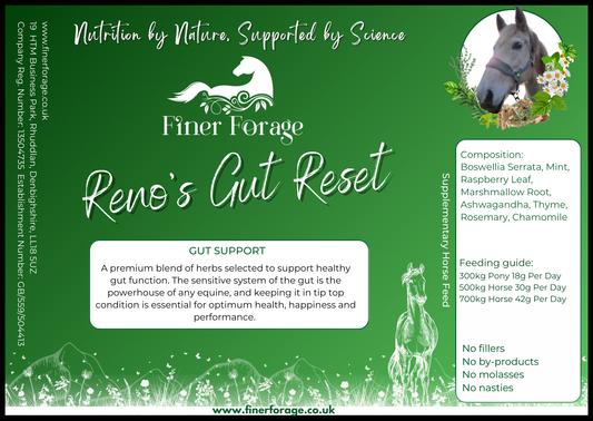 Reno's Gut Reset