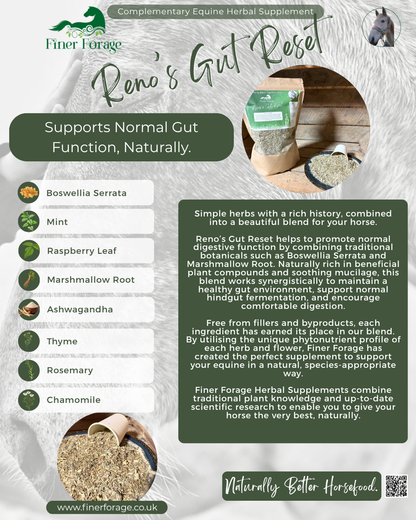Reno's Gut Reset