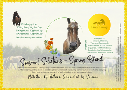 Seasonal Solutions Herbal Blend - SPRING