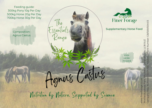 Agnus Castus 1kg