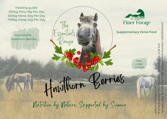 Hawthorn Berries 1kg