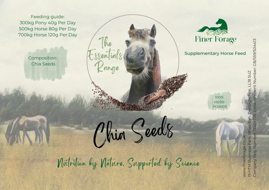 Chia Seeds 1kg
