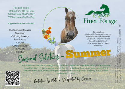 Seasonal Solutions Herbal Blend - SUMMER