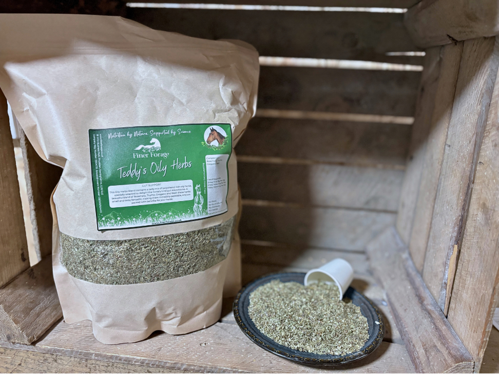 Teddy's Oily Herbs Herbal Blend
