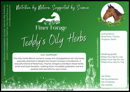 Teddy's Oily Herbs Herbal Blend