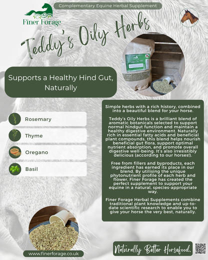 Teddy's Oily Herbs Herbal Blend