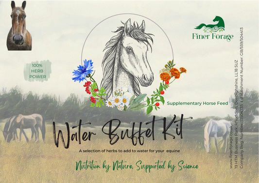 Autumn Water Buffet Kit