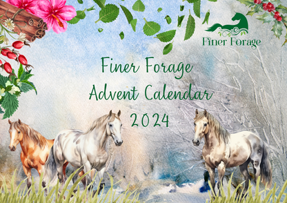 Advent Calendar 2025