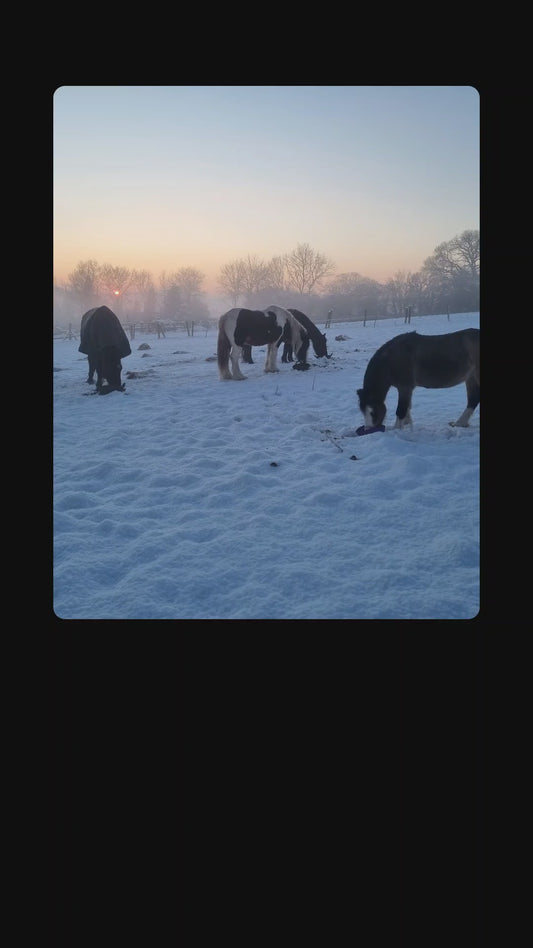 Advent Calendar 2025