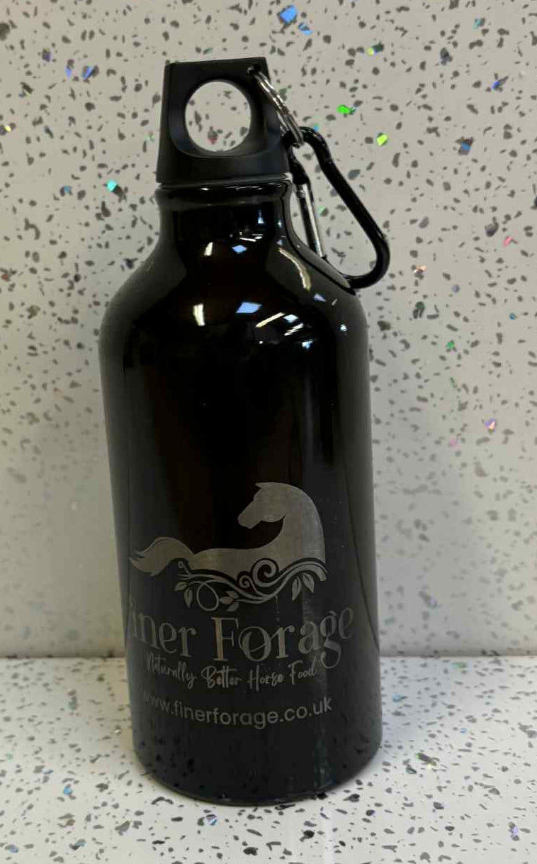 500ml Metal Drink Bottle