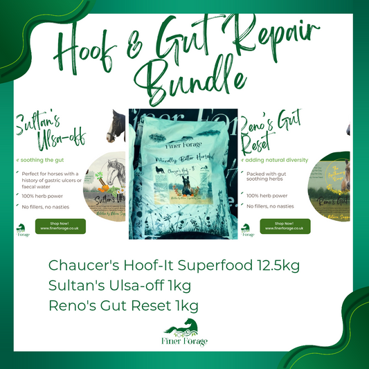 Hoof & Gut Repair Bundle