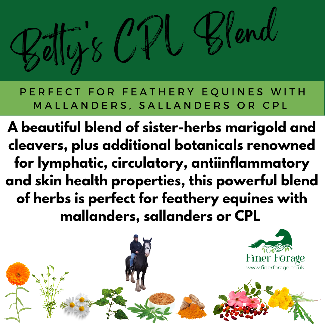 Betty's CPL Blend