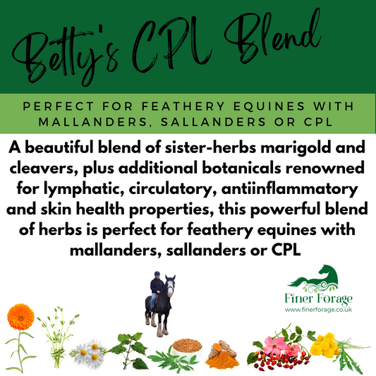 Betty's CPL Blend