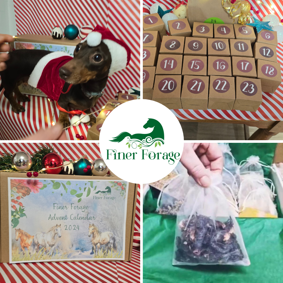 Advent Calendar 2025