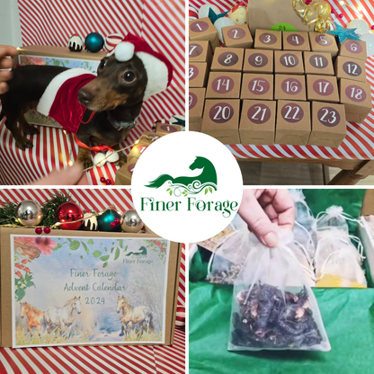 Advent Calendar 2025