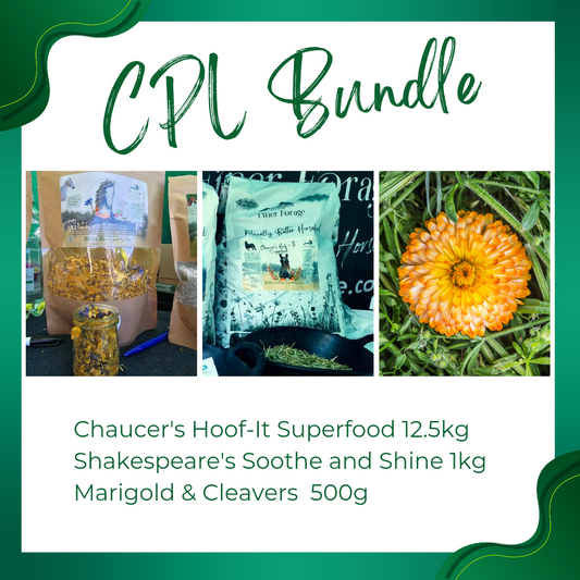 CPL Bundle